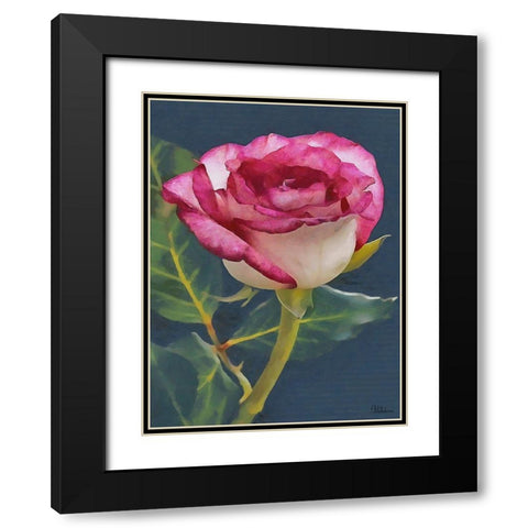 I like Flowers XXII Black Modern Wood Framed Art Print with Double Matting by Medeiros, Celito