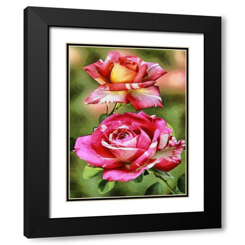 I like Flowers XXIII Black Modern Wood Framed Art Print with Double Matting by Medeiros, Celito