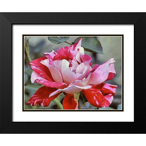 I like Flowers XXIV Black Modern Wood Framed Art Print with Double Matting by Medeiros, Celito
