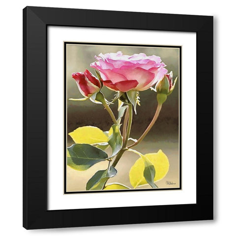 I like Flowers XXVII Black Modern Wood Framed Art Print with Double Matting by Medeiros, Celito