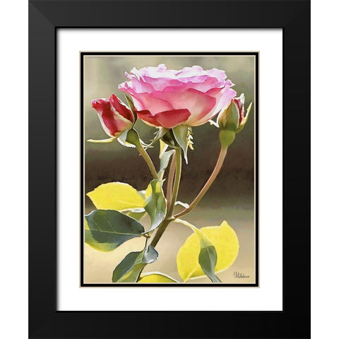 I like Flowers XXVII Black Modern Wood Framed Art Print with Double Matting by Medeiros, Celito