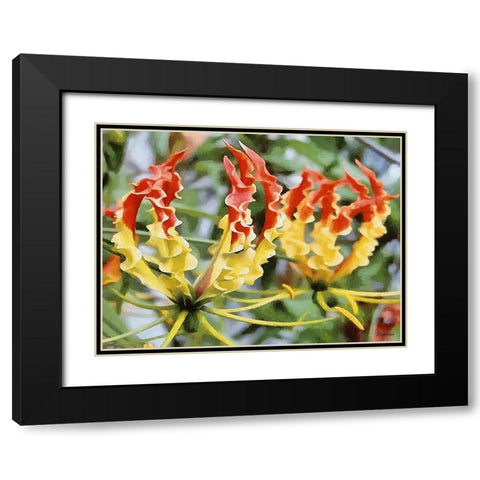I like Flowers XXX Black Modern Wood Framed Art Print with Double Matting by Medeiros, Celito