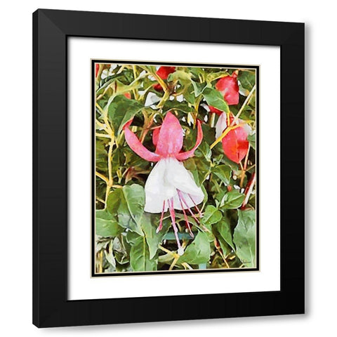 I like Flowers XXXII Black Modern Wood Framed Art Print with Double Matting by Medeiros, Celito