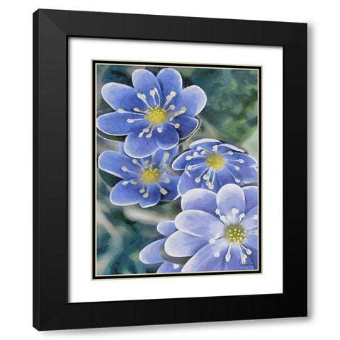 I like Flowers XXXVII Black Modern Wood Framed Art Print with Double Matting by Medeiros, Celito