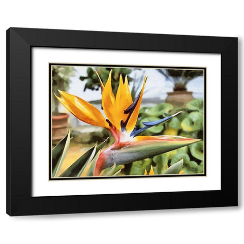 Yellow Orchid I Black Modern Wood Framed Art Print with Double Matting by Medeiros, Celito