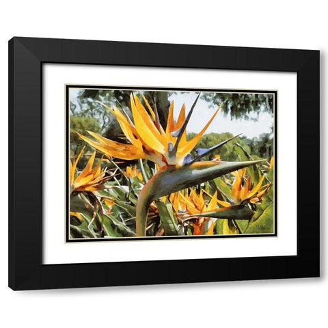 Yellow Orchid II Black Modern Wood Framed Art Print with Double Matting by Medeiros, Celito