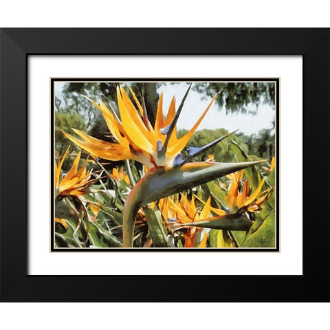 Yellow Orchid II Black Modern Wood Framed Art Print with Double Matting by Medeiros, Celito