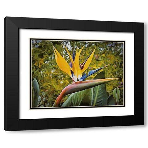 Yellow Orchid III Black Modern Wood Framed Art Print with Double Matting by Medeiros, Celito