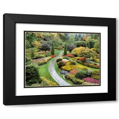 Beautiful Garden III Black Modern Wood Framed Art Print with Double Matting by Medeiros, Celito