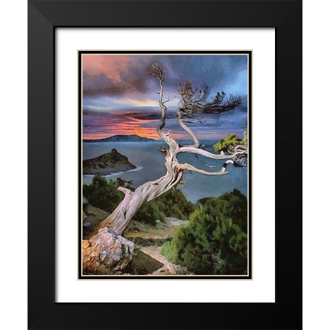 View Through Dry Tree Black Modern Wood Framed Art Print with Double Matting by Medeiros, Celito