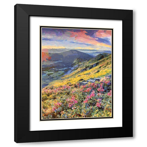 Flovers in the Mountains II Black Modern Wood Framed Art Print with Double Matting by Medeiros, Celito