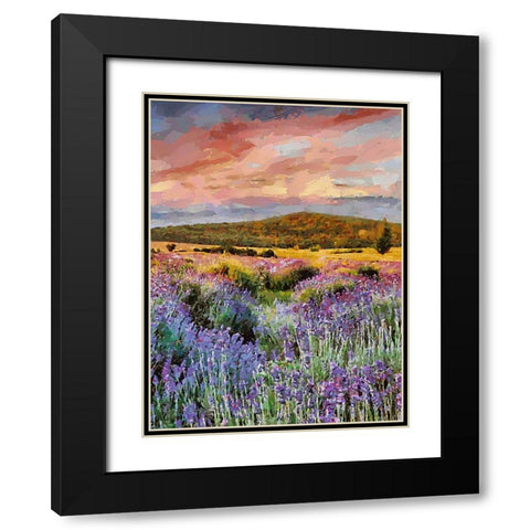 Flovers in the Mountains VII Black Modern Wood Framed Art Print with Double Matting by Medeiros, Celito