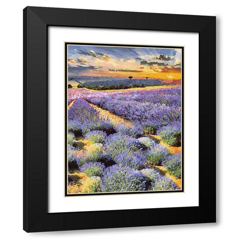 Lavender Field II Black Modern Wood Framed Art Print with Double Matting by Medeiros, Celito