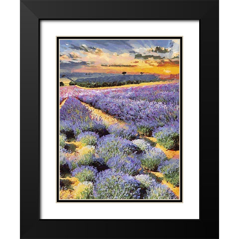 Lavender Field II Black Modern Wood Framed Art Print with Double Matting by Medeiros, Celito