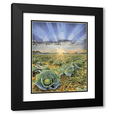 Sunset over Flowers VII Black Modern Wood Framed Art Print with Double Matting by Medeiros, Celito