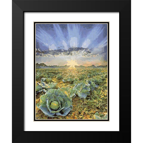 Sunset over Flowers VII Black Modern Wood Framed Art Print with Double Matting by Medeiros, Celito