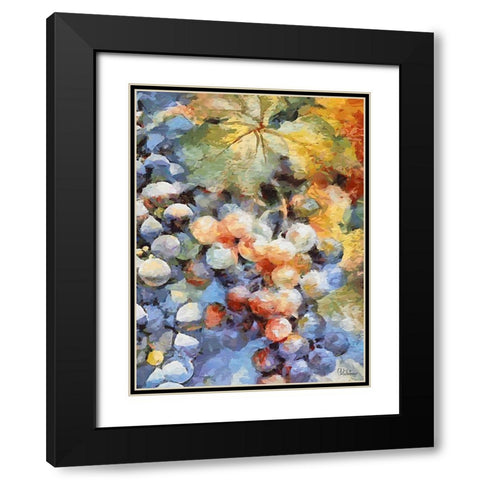Grapes III Black Modern Wood Framed Art Print with Double Matting by Medeiros, Celito