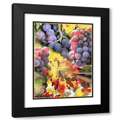 Grapes IV Black Modern Wood Framed Art Print with Double Matting by Medeiros, Celito