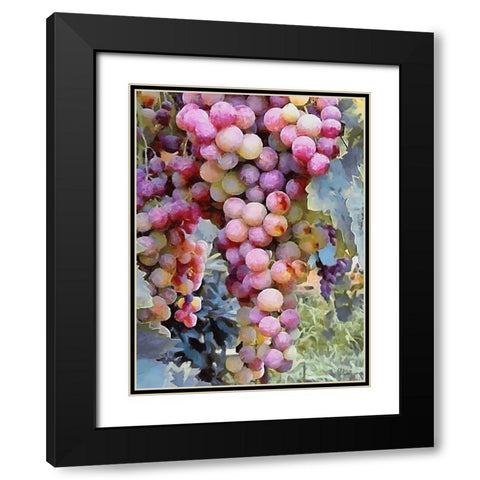 Grapes VII Black Modern Wood Framed Art Print with Double Matting by Medeiros, Celito