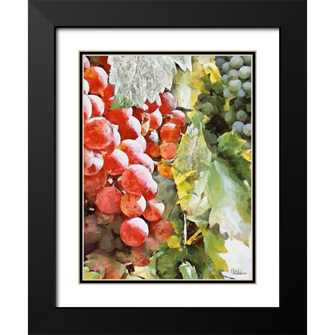 Grapes VIII Black Modern Wood Framed Art Print with Double Matting by Medeiros, Celito