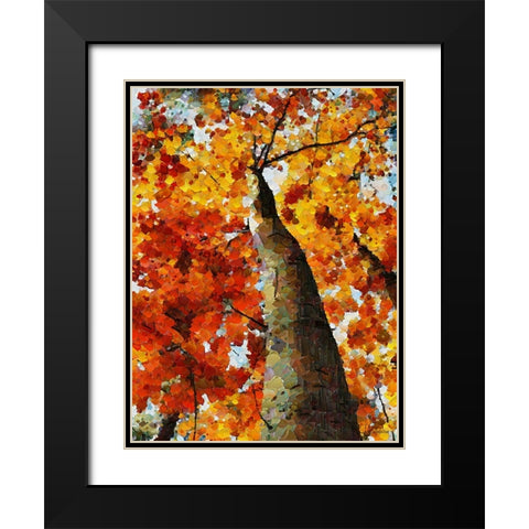 Collectio of Bloomin and Autumn Trees VI Black Modern Wood Framed Art Print with Double Matting by Medeiros, Celito