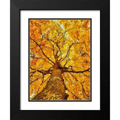 Collectio of Bloomin and Autumn Trees VII Black Modern Wood Framed Art Print with Double Matting by Medeiros, Celito