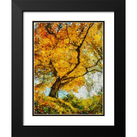 Collectio of Bloomin and Autumn Trees IX Black Modern Wood Framed Art Print with Double Matting by Medeiros, Celito