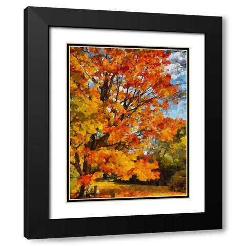 Collectio of Bloomin and Autumn Trees XXIII Black Modern Wood Framed Art Print with Double Matting by Medeiros, Celito