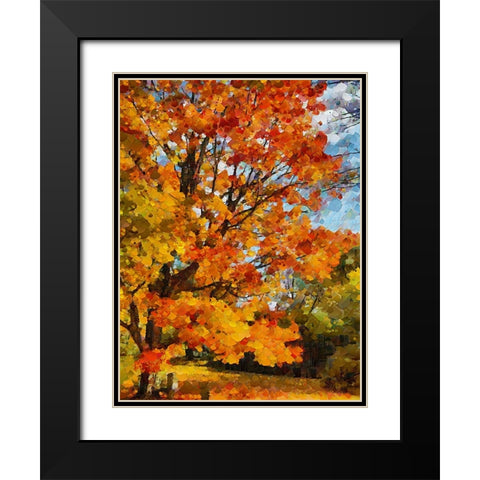 Collectio of Bloomin and Autumn Trees XXIII Black Modern Wood Framed Art Print with Double Matting by Medeiros, Celito