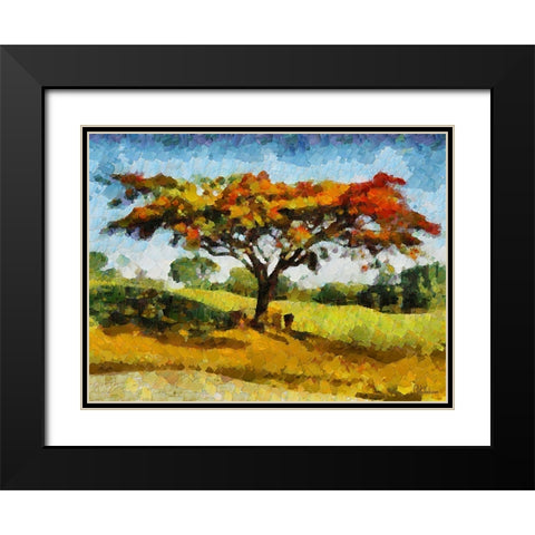 Collectio of Bloomin and Autumn Trees XXV Black Modern Wood Framed Art Print with Double Matting by Medeiros, Celito