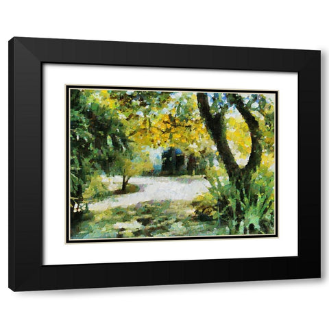 Collectio of Bloomin and Autumn Trees XXX Black Modern Wood Framed Art Print with Double Matting by Medeiros, Celito