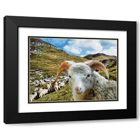 Sheep and Goat Collection I Black Modern Wood Framed Art Print with Double Matting by Medeiros, Celito