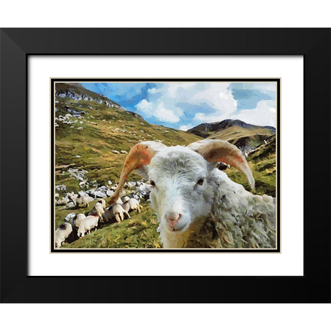 Sheep and Goat Collection I Black Modern Wood Framed Art Print with Double Matting by Medeiros, Celito