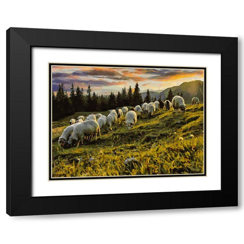 Sheep and Goat Collection II Black Modern Wood Framed Art Print with Double Matting by Medeiros, Celito