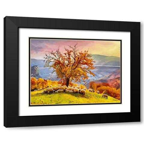 Sheep and Goat Collection III Black Modern Wood Framed Art Print with Double Matting by Medeiros, Celito