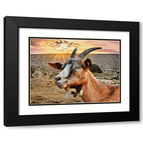 Sheep and Goat Collection IV Black Modern Wood Framed Art Print with Double Matting by Medeiros, Celito