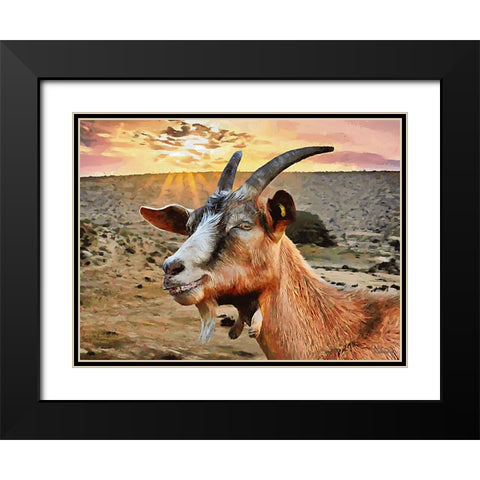 Sheep and Goat Collection IV Black Modern Wood Framed Art Print with Double Matting by Medeiros, Celito