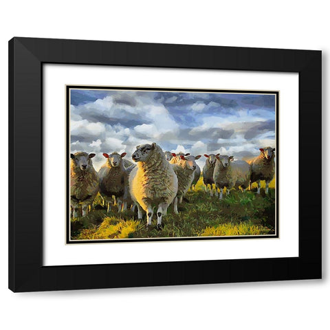 Sheep and Goat Collection V Black Modern Wood Framed Art Print with Double Matting by Medeiros, Celito