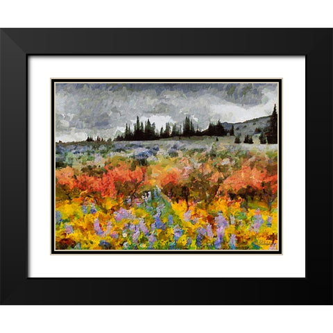 Colorful Meadow with Black and White Sky Black Modern Wood Framed Art Print with Double Matting by Medeiros, Celito