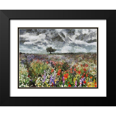 Colorful Meadow with Black and White Sky II Black Modern Wood Framed Art Print with Double Matting by Medeiros, Celito