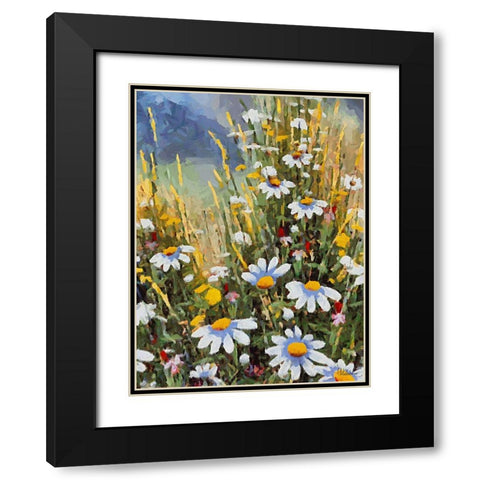 Many White Daisies II Black Modern Wood Framed Art Print with Double Matting by Medeiros, Celito