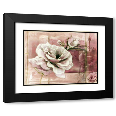Rose with Pink Background Black Modern Wood Framed Art Print with Double Matting by Medeiros, Celito