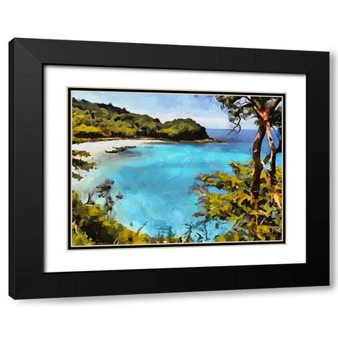 Tropical Coast VI Black Modern Wood Framed Art Print with Double Matting by Medeiros, Celito