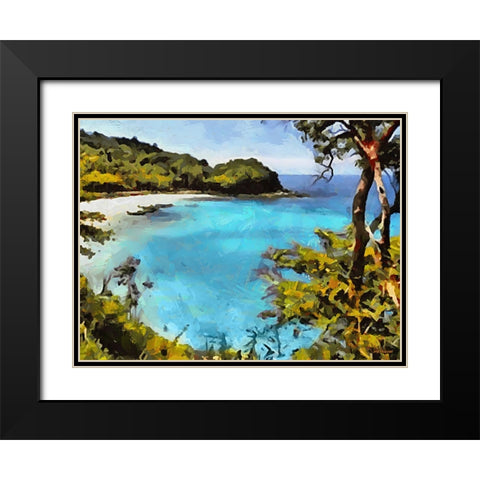 Tropical Coast VI Black Modern Wood Framed Art Print with Double Matting by Medeiros, Celito