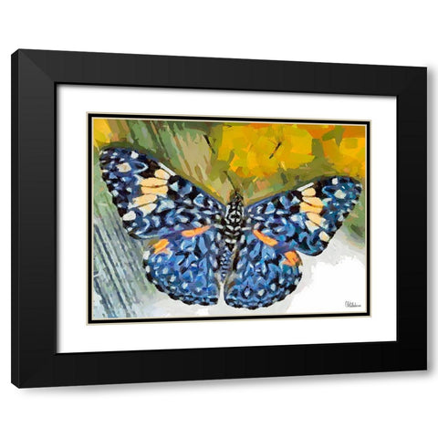 Butterfly Wings V Black Modern Wood Framed Art Print with Double Matting by Medeiros, Celito