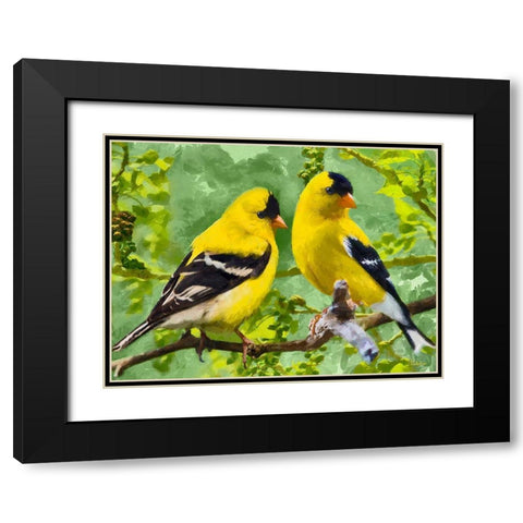 Bird Song I Black Modern Wood Framed Art Print with Double Matting by Medeiros, Celito
