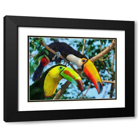 Two Tucans Black Modern Wood Framed Art Print with Double Matting by Medeiros, Celito