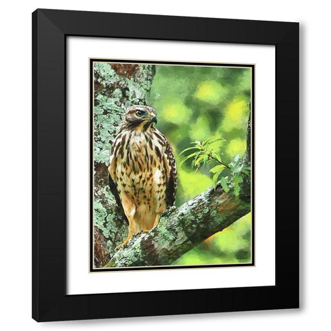 Falcon Black Modern Wood Framed Art Print with Double Matting by Medeiros, Celito