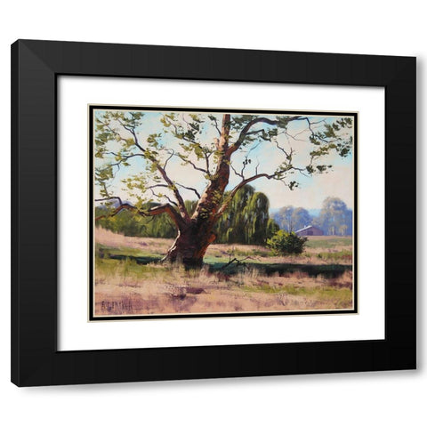 Summer Trees Black Modern Wood Framed Art Print with Double Matting by Gercken, Graham