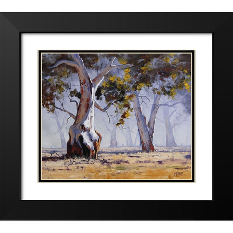 MÃ­sty Gums Australia Black Modern Wood Framed Art Print with Double Matting by Gercken, Graham